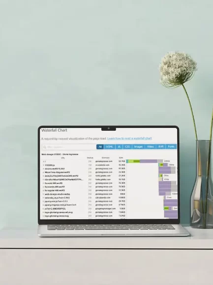 performance sito web