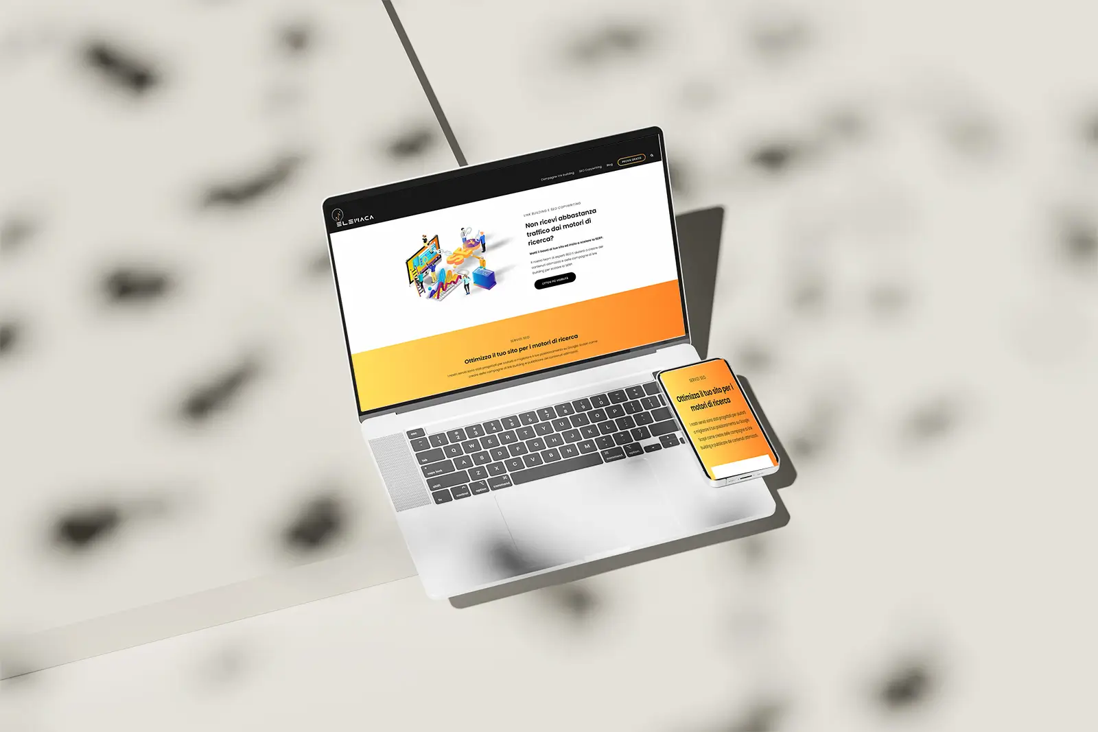 protfolio 11